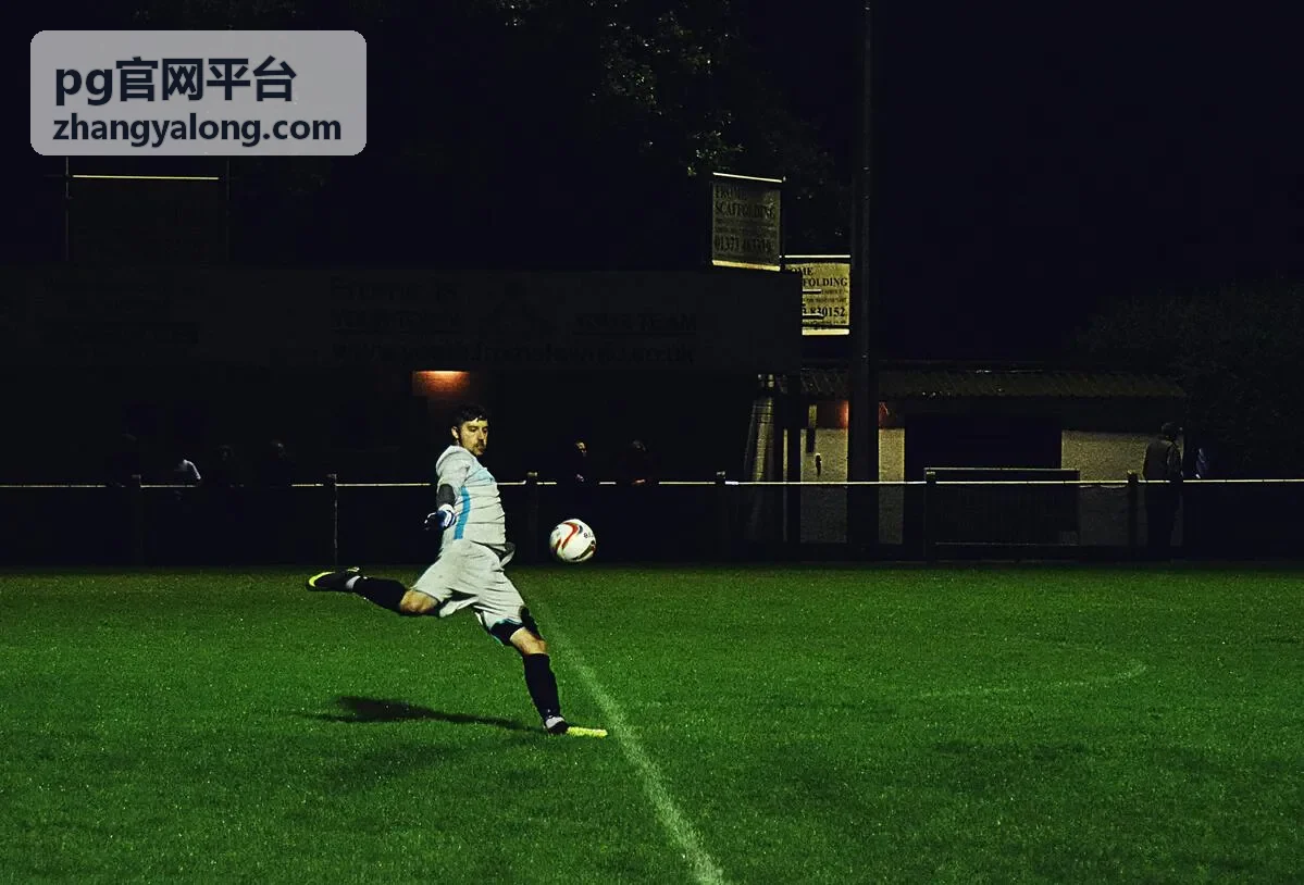 pg官网平台参数设置面板与选项分组