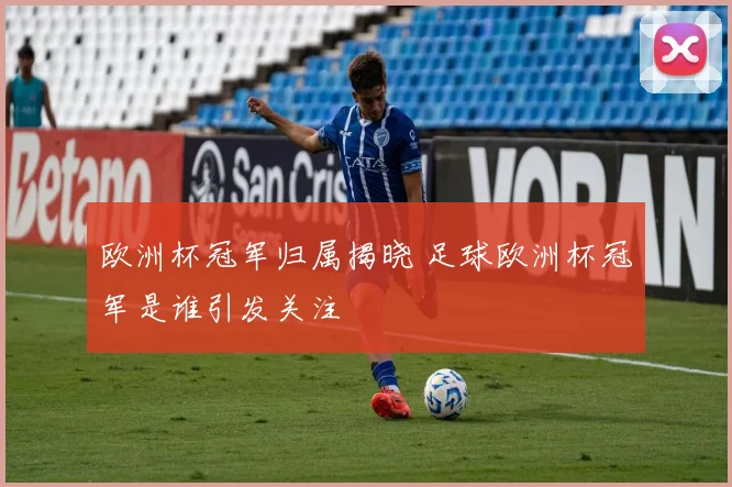 欧洲杯冠军归属揭晓 足球欧洲杯冠军是谁引发关注