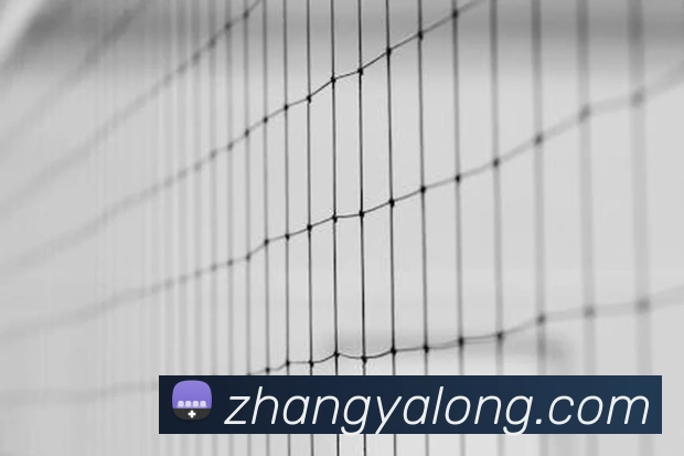 世界杯官方入口品牌故事